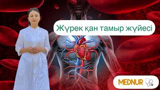 Жүрек қан тамыр жүйесі 🫀 журек кан тамыр жуйесы