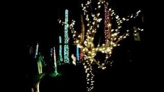 Our Florida Botanical Gardens Experience by RinconRolla98 46 views 11 years ago 4 minutes, 13 seconds