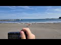 POV: Enoshima Walk | Canon Digicam SOOC