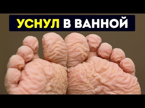 видео: 55 фактов о вашем теле, которые вас удивят