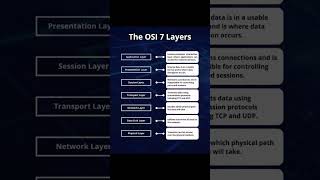 he OSI 7 Layers Explained | Networking Basics for Beginners | Network Educative