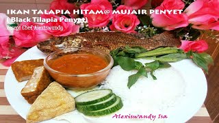 Kudapan Resepi Ikan Talapia Hitam - BangPohan Blog