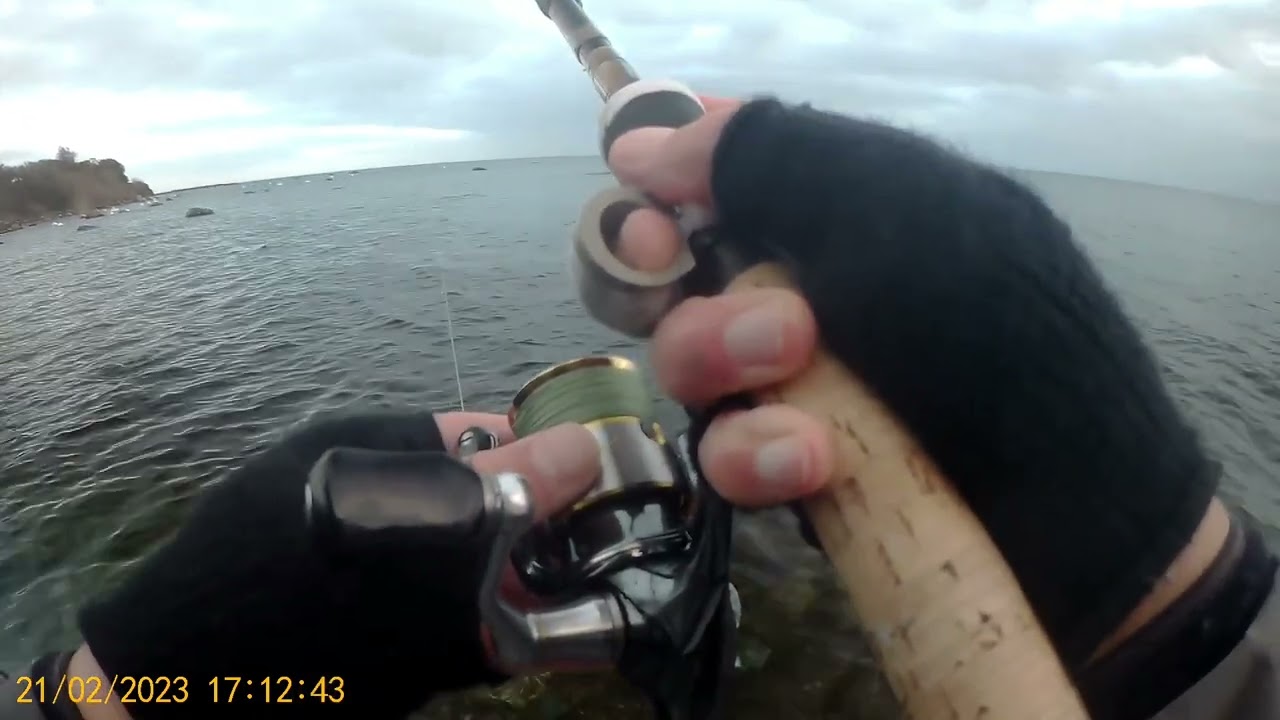 WeedBuster in Shallow Water