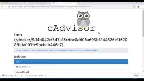 Monitoring a docker container