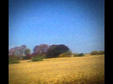 Sun Kil Moon (+) Carissa