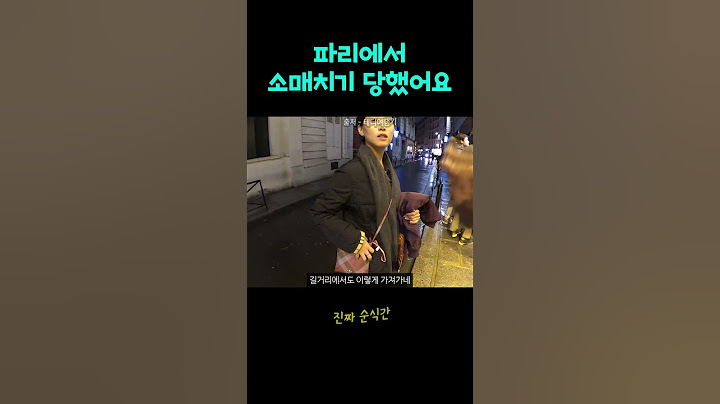 파리에서 소매치기 당한 영상