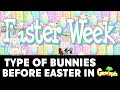 Type of bunnies before easter in growtopia