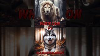 White Lion Vs Alaskan Malamute Doberman, Pitbull, Kangal,...
