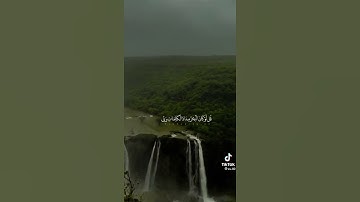 ياسر الدوسري أواخر سورة الكهف