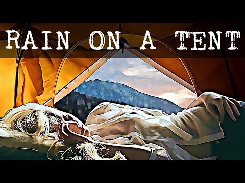 🎧 Pluviophile | Rain on a Tent | Steady Rain Sounds for Sleeping, Relaxing | 10 HOURS | 3D