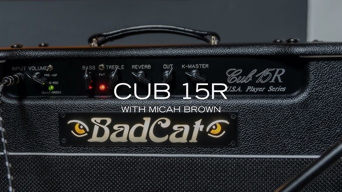 Bad Cat Hot Cat 30R USA Player Series 1x12 Combo Amplifier - Matt's Music  Center