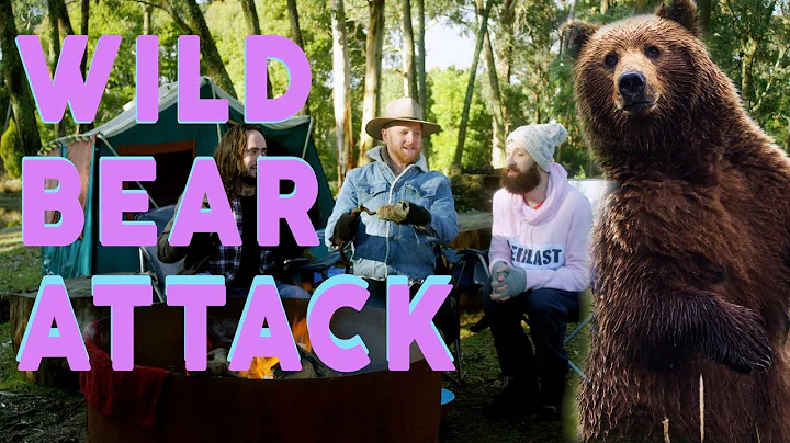 Wild Bear Attack