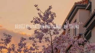 İlyas Yalçıntaş - Aşk Tohumu Lyrics