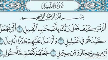 سورة الفيل  بصوت  الشيخ  أبو أنس شمس الدين