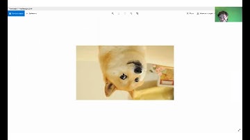 Введение в компьютерное зрение на python Библиотека PIL. 1 часть