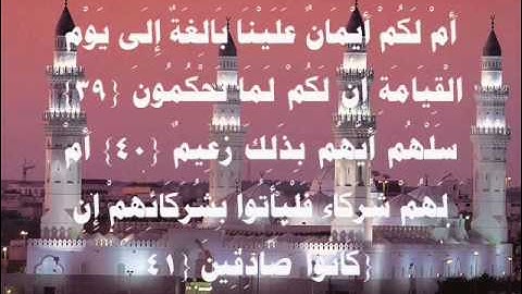 الشيخ مقدام الحضرى   سورة القلم