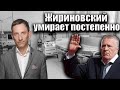 Жириновский умирает постепенно Виталий Портников