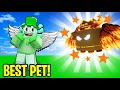 I GOT THE BEST PET and ✨😳BECAME THE BEST PLAYER!✨ In CLICKER SIMULATOR!