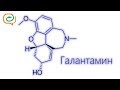 По-быстрому о лекарствах. Галантамин