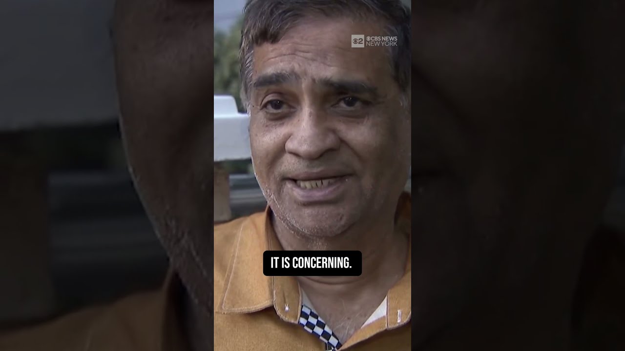 Man Accused Of Setting Dog On Fire In New York City