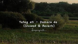 Teteg ati - Damara de (Slowed \u0026 Reverb)