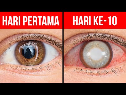 Video: Mengapa kita mengedipkan mata?