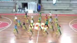 HCDC AB cheerdance critiquing '2008'