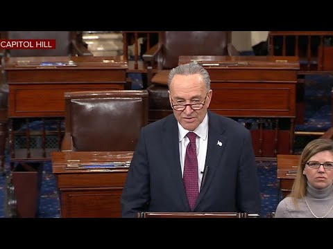 Schumer speaks on Senate floor on second day of shutdown