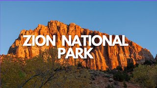 Sacred Stones and Stories: A Deep Dive into Zion National Park