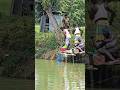 বড় রুই মাছ নেট করলেন পুকুর মালিক তুহিন ভাই। #shortsviral #angling #fishing