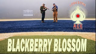 Video thumbnail of "Blackberry Blossom"