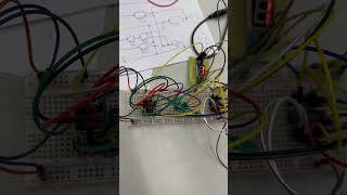 IMG 8828