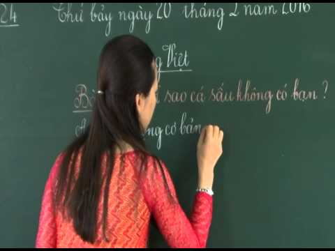 Video Mô hình trường học mới trường Tiểu học Tân Phú B môn... - YouTube