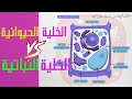 الفرق بين الخلية النباتية والخلية الحيوانية mp3