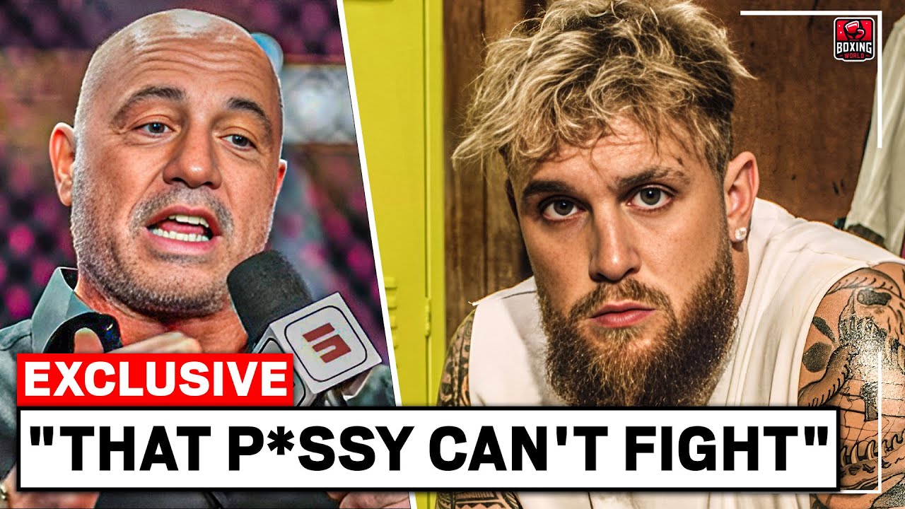 Joe Rogan Just CRUMBLED Jake Paul After KO In Sparring