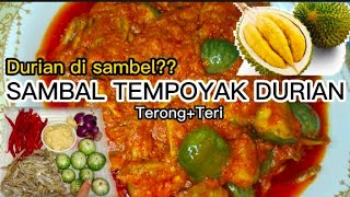 DURIAN DI SAMBEL?? SAMBAL TEMPOYAK TERONG + TERI #tempoyak #idemasakan #mellysaDaily #food