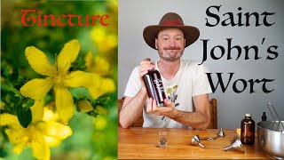 How to forage & make a St John's Wort Tincture from your own backyard apothecary