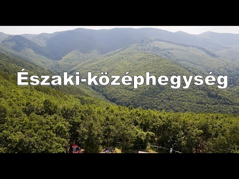 Videó: Északi Kiwi