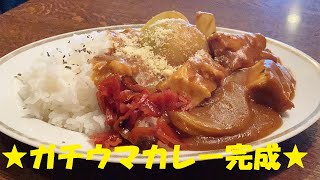 ★肉が無くても大丈夫！これでガチウマ【厚揚げカレー】作り方