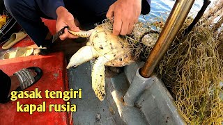 selamatkan penyung yang hampir mati waktu pulang memancing gasak tengiri16 ekoq.trip kapal Rusia