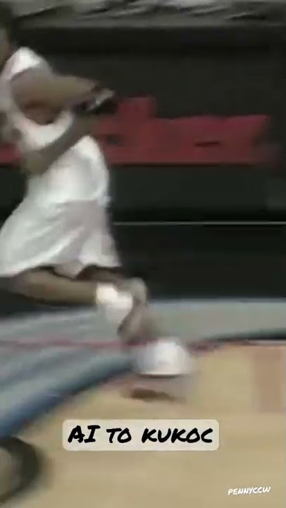 Allen Iverson and Toni Kukoc connection! (2001)