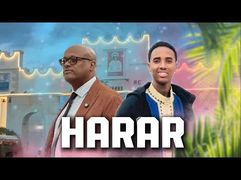 Turtii Miidhagaa Magaalaa Harar