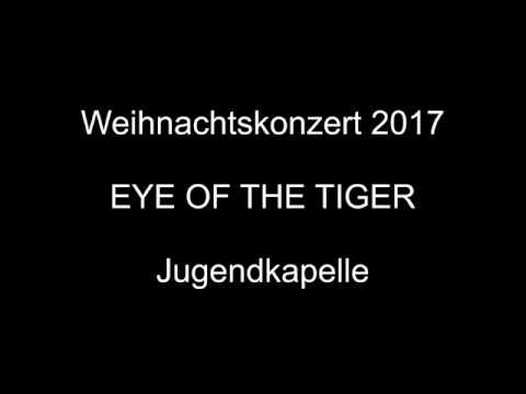 Eye of the Tiger' Writer Peterik Re-Works Song For Cincinnati Bengals –  Billboard