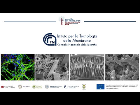 Video: Cambiamenti Ematologici E Istologici Della Porgia Nera Acanthopagrus Schlegeli Nei Sistemi A Ricircolo Ozonizzato