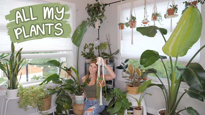 A Tour of my 54 Plants
