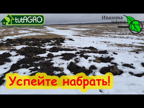 1 ГОРСТЬ и КОРНИ РАССАДЫ РАСТУТ КАК СУМАСШЕДШИЕ! Но есть нюансы. Земля из кротовин.