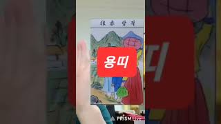 용띠 대박 오늘의운세 2024년2월2일 금요일 재회운/연애운/애정운이 좋은 띠 (용띠) #오늘의운세 #운세 …