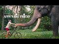 Appus big friend  kerala tourism