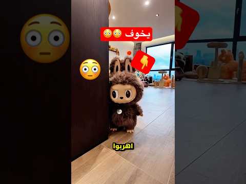 أنظر ما يمكن لابوبو فعله 