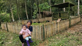 Make Bamboo Fences For Pigs - Harvest Giant Yams goes to market sell - Cooking | Lý Phúc An